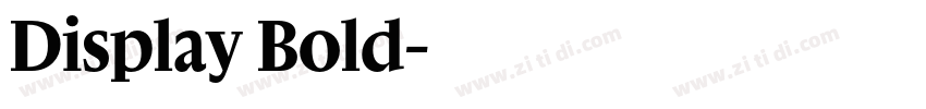 Display Bold字体转换 Display Bold字体转换